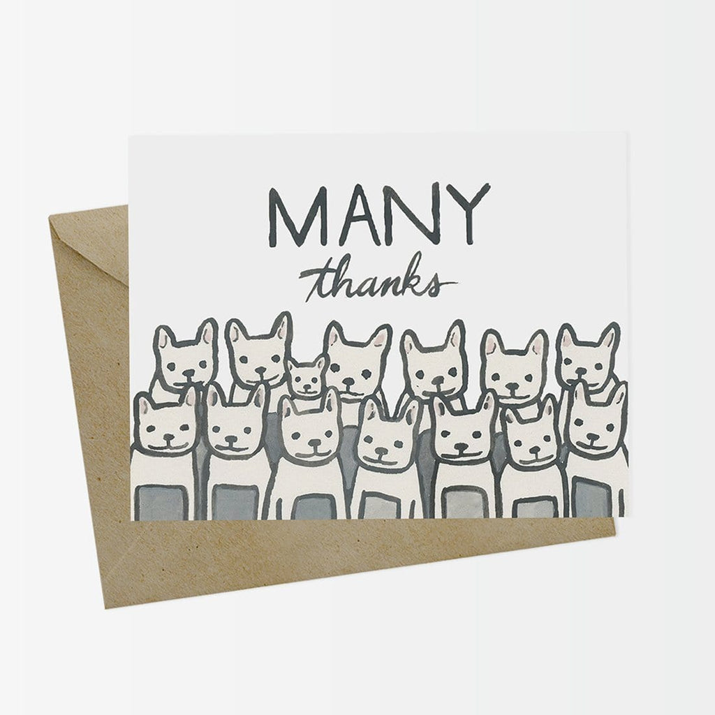 Many French Bulldogs Thank You Card
