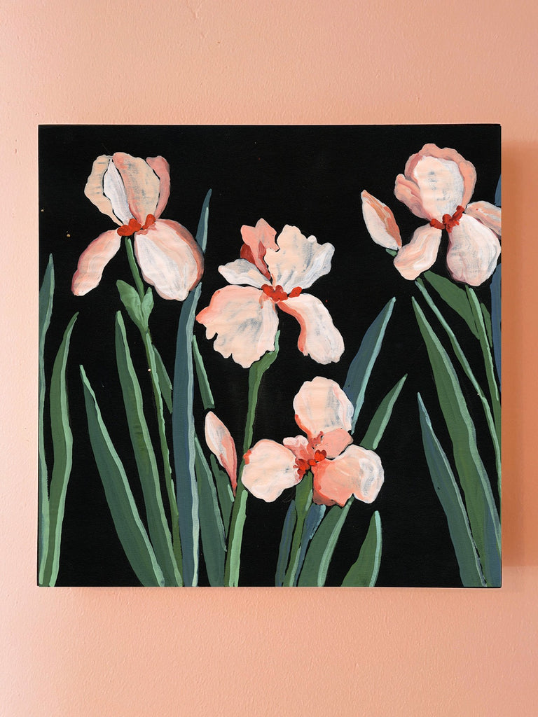 8x8 inch gouache painting of coral and white iris  with varied green leaves on black paper by Liz Langley on a pink wall.