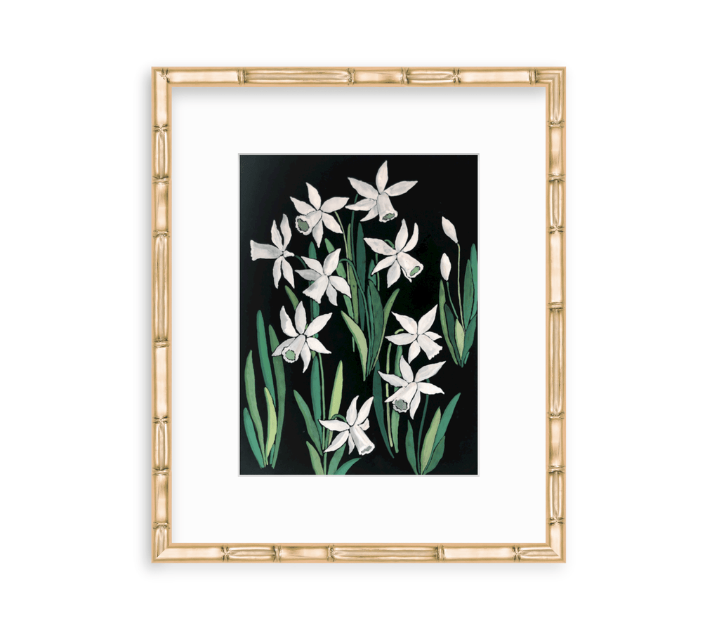 White Narcissus II
