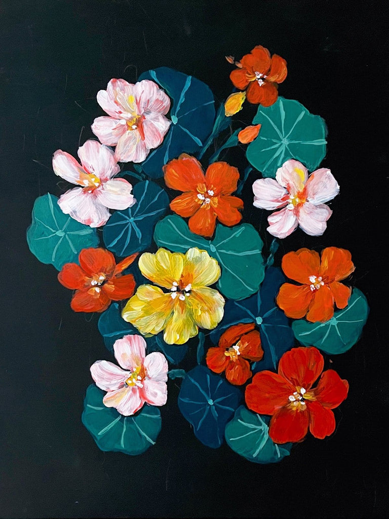 11x14  inch acrylic painting of orange, pink, and yellow nasturtiums  on a velvety black background by Liz Langley.